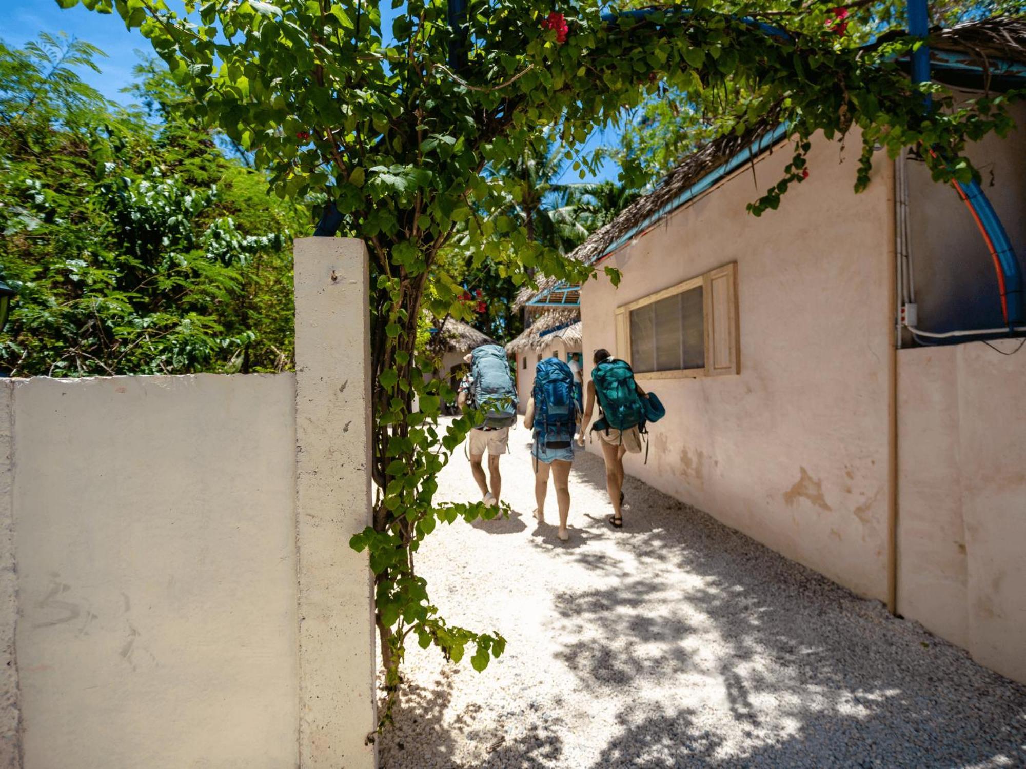Hostel Mad Monkey Panglao Exteriér fotografie